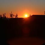 Cambria_2015_0060 (November 06, 2015)